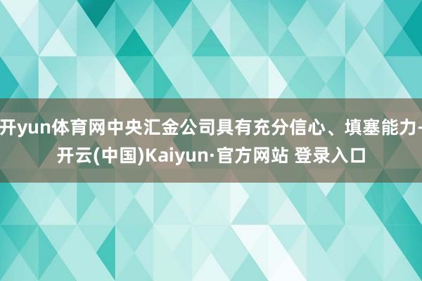 开yun体育网中央汇金公司具有充分信心、填塞能力-开云(中国)Kaiyun·官方网站 登录入口